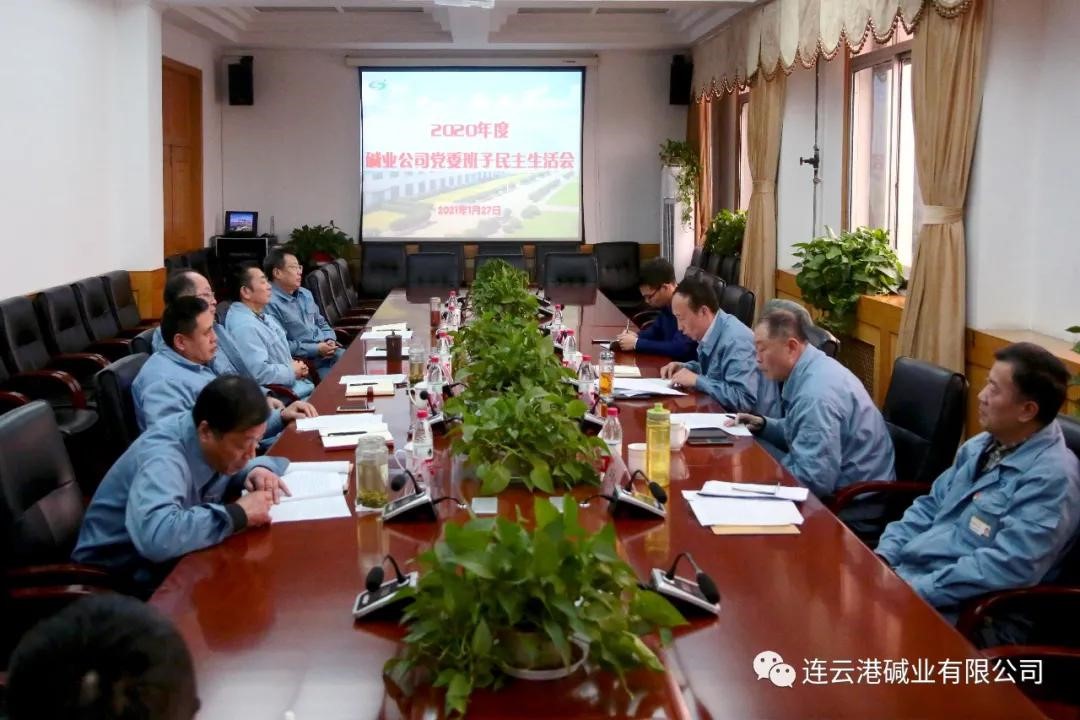 公司成功召開2020年度領導班子民主生活會